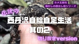 【切り抜き】西丹沢自給自足生活その2 〜カメ五郎氏のサバイバルキャンプシリーズ〜 [upl. by Hgielsel211]