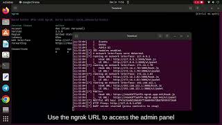 Using Ngrok with BeEFXSS [upl. by Annohsed]