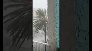 Hurricane Milton 🌪️ Update Live Watch Now from Tampa news fyp [upl. by Doughman]