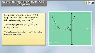 Geometrical Meaning of The Zeroes of a Polynomial I  Polynomials  Math  Class 10  iPrep [upl. by Ahsimac]