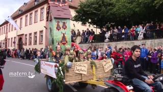 Bensheimer Winzerfestumzug 2015 [upl. by Ydorb511]