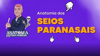 Anatomia dos seios paranasais [upl. by Ange]