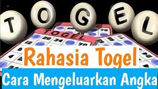 RAHASIA BANDAR MENGELUARKAN HASIL TOGEL [upl. by Aihsoj]