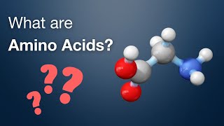 What are Amino Acids  Amino Acid Analysis 13  Biochrom [upl. by Anstice]