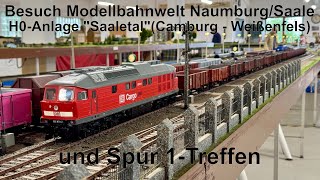 H0Anlage „Saaletal“ in Naumburg  Spur 1Treffen [upl. by Jillian]