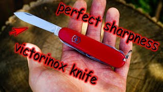 Perfect sharpness of a Victorinox knife without special sharpeners [upl. by Asiole]