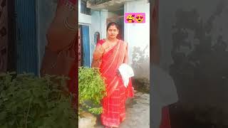 Faisan saja k bhouji jat badi ho bhojpuri song music [upl. by Niwred]