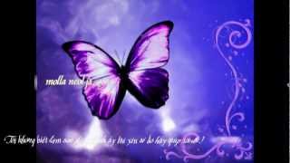 Aegisub Karaoke Effect No10  Butterfly  Dont Say Good Bye Davichi [upl. by Zeidman405]