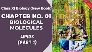 Ch 1 Biological molecules  Lipids  Class 11 biology new book  Sindh board [upl. by Ajssatsan855]