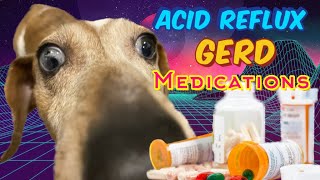 Medications GERD and Acid Reflux [upl. by Lundell]