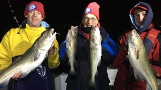 Reynolds Fishing UK  Bristol Channel  Portishead Sea Fishing For Cod shorts [upl. by Kehoe]