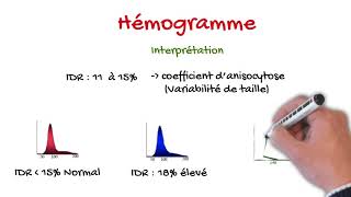 Hémogramme pour étudiant en médecine [upl. by Lishe94]