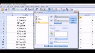 SPSS nominal explanatory variable in the Cox proportional hazard model [upl. by Eetsirhc905]