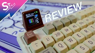 Epomaker RT100 Mechanical Keyboard Review Silent As Sea Salt [upl. by Ocsecnarf64]