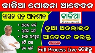 Kalia Yojana New Apply Online 2023 Full Process  Kalia Yojana Grievance Apply Online 2023 [upl. by Odeen620]