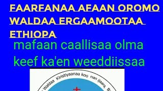 Faarfanaa afaan oromo waldaa ergaamoota ethiopia Mafaan calisaa [upl. by Nyleikcaj282]