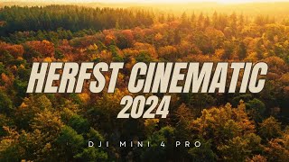 Herfst cinematic 2024  Dji mini 4 pro [upl. by Aehtna]