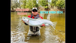 STEELHEAD FISHING BETSIE RIVER 2024 [upl. by Annatnom]