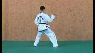 ITF TaekwonDo Patterns 3 of 14 ChonJi [upl. by Barbara858]