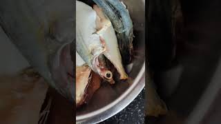 வாங்க சுவைக்கலாம் மீன் குழம்பு  Preparing Lunch for Fish Cooking vlog is live [upl. by Ycat]