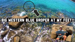 GROPER FISHING SOUTH AUSTRALIA [upl. by Airrat]