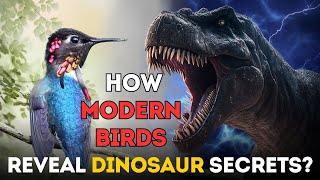 How Modern Birds Reveal Dinosaur Secrets Part 1 [upl. by Meares]