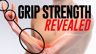 Grip Strength and Forearm Training Revealed A Scientific Breakdown [upl. by Adnofal]