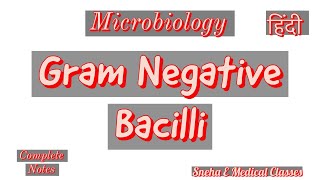 Gram Negative Bacilli in Hindi Microbiology [upl. by Silvers]