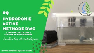 La méthode hydroponique DWC [upl. by Sparky210]