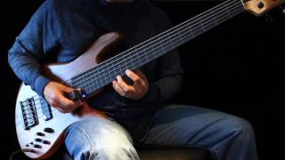 Fretless Bass Solo with Ebow amp Ehx Freeze [upl. by Lossa841]