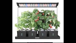 Idoo 20 pod Hydroponic unit review [upl. by Lonyer]