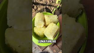 Perisai tahan api dari kulit nanas [upl. by Kyle370]