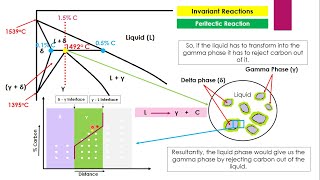 Peritectic Reaction Iron Cementite Phase Diagram Part 4 Heat Treatment Lecture1Invariant Reaction [upl. by Demmahom40]