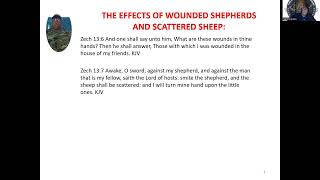 THE EFFECTS OF WOUNDED SHEPHERDS AND SCATTERED SHEEP [upl. by Cassius885]