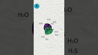 Photosynthesis Explain in 3D Animation  Photosynthesis Kaise Hota Hai photosynthesis science 3d [upl. by Nolly]