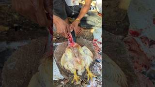 Professional Boy Amazing Chicken Cutting Skills  Most Creative Cutting Style 😱 shorts [upl. by Ylac]