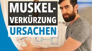 MUSKELVERKÜRZUNG URSACHEN amp ENTSTEHUNG [upl. by Humo]