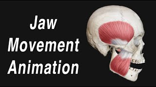 Anatomy of Jaw Motion  TMJ Articular Disc and Muscles [upl. by Lorene191]