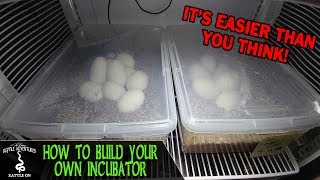 🟨 HOW TO INCUBATEHATCH the BLACK DRAGON EGG in ICE AND FIRE [upl. by Gnehp857]