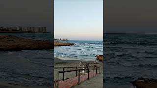 🌴🌊🚶🏼Playa Flamenca Orihuela Costa Spain  España 🇪🇸 [upl. by Aohk56]