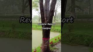 Reverie Resort  Beautiful Place reverieresort resort travel viral trending shorts beautiful [upl. by Klaus702]