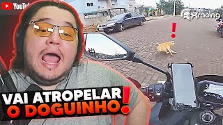 REAGINDO A SUSTOS DE MOTO EP 123 CORTES do BURGAO react XRacing [upl. by Chainey892]