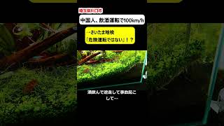 【埼玉県川口市】中国人が飲酒運転、暴走も「裁判所は危険運転でない」判断！？【ニュース】 [upl. by Airret370]