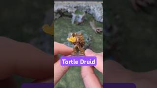 Tortle Druid dungeonsanddragons dungeonmaster roleplayinggame dm dnd dndmonster tabletoprpg [upl. by Odrarej]