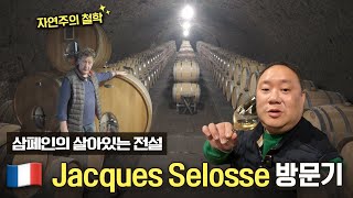 현시점 가장 핫한 샴페인🍾 살아있는 전설 Jacques Selosse의 철학 비하인드 스토리 듣기 [upl. by Adriana]