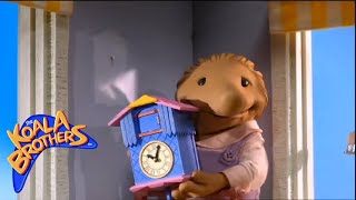 The Koala Brothers Sammys Cuckoo Clock Childrens animation series [upl. by Vanhook]