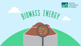 Renewable Energy 101 How Does Biomass Energy Work [upl. by Annot]