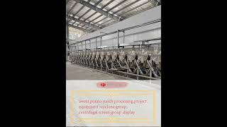 Sweet potato starch processing project equipment  cyclone group centrifugal screen group display [upl. by Albertson]