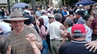 bailando los turistas en medellin alegre [upl. by Him942]