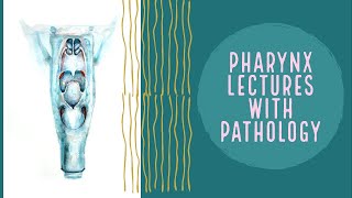 PHARYNX lecture 3 OROPHARYNX in deatil and easy way [upl. by Ahsiyt938]